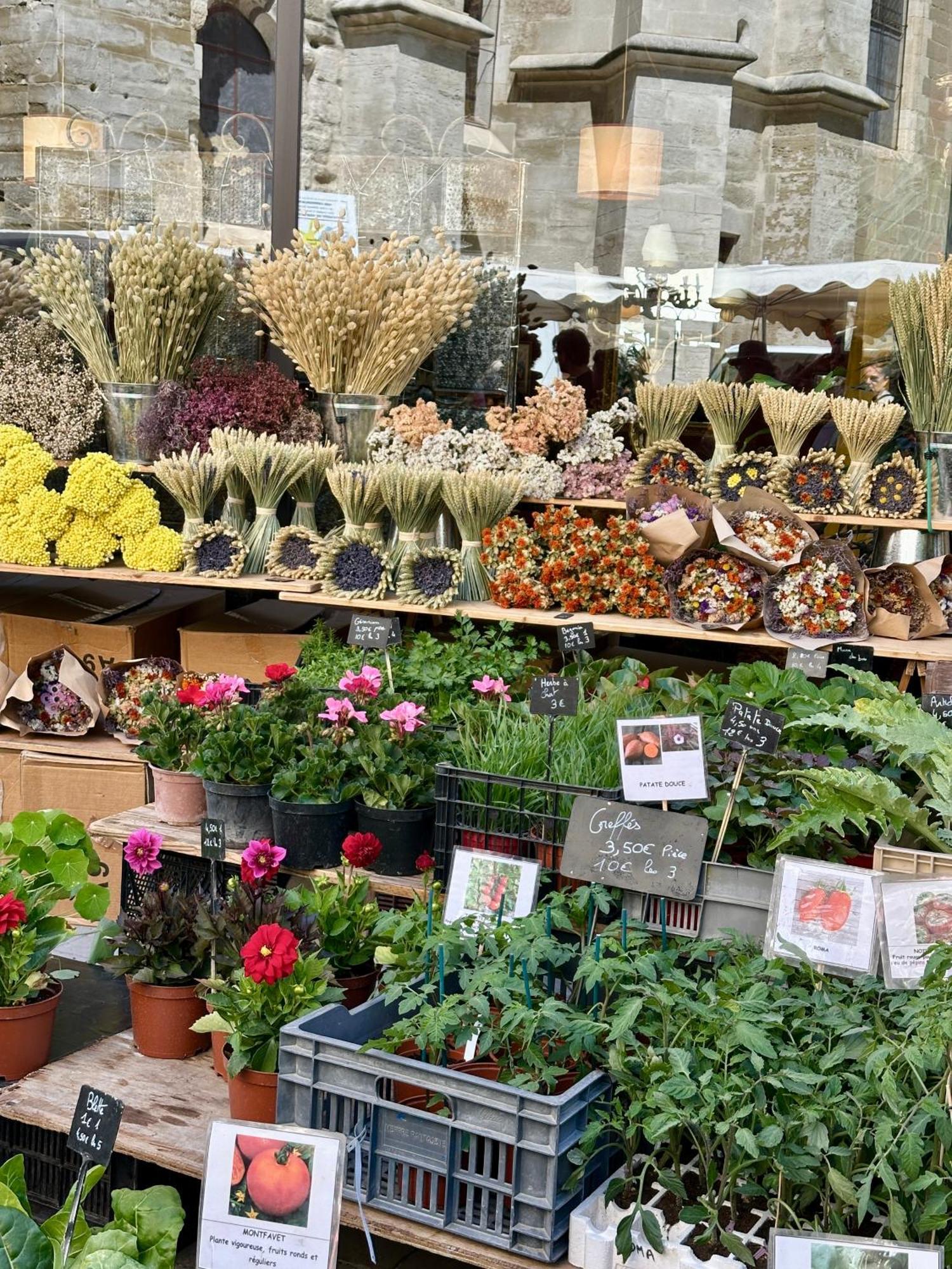 Zen A L Isle LʼIsle-sur-la-Sorgue Eksteriør billede